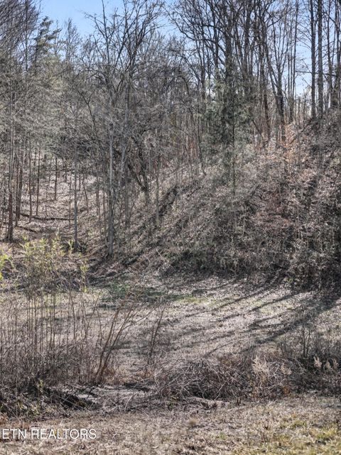 Tiny photo for Stanton Rd, Seymour, TN 37865 (MLS # 1329427)