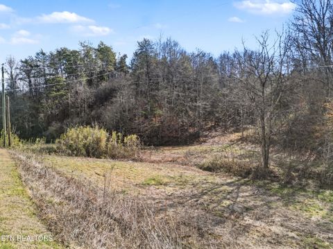 Tiny photo for Stanton Rd, Seymour, TN 37865 (MLS # 1329427)