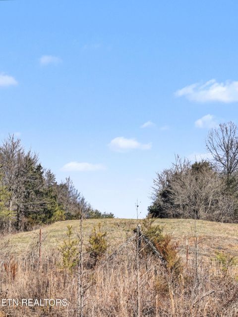Tiny photo for Stanton Rd, Seymour, TN 37865 (MLS # 1329427)