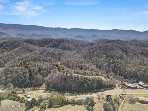 Tiny photo for Stanton Rd, Seymour, TN 37865 (MLS # 1329427)