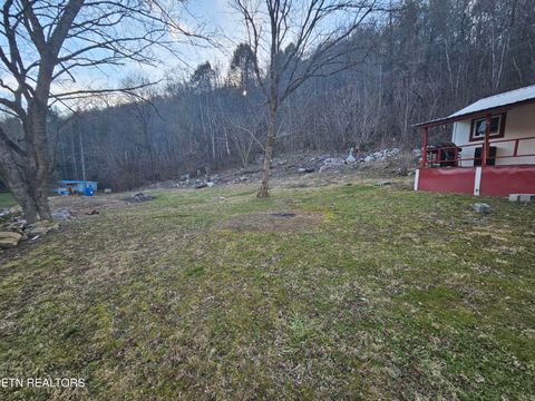Tiny photo for 147 Highway 107 N, Del Rio, TN 37727 (MLS # 1328041)