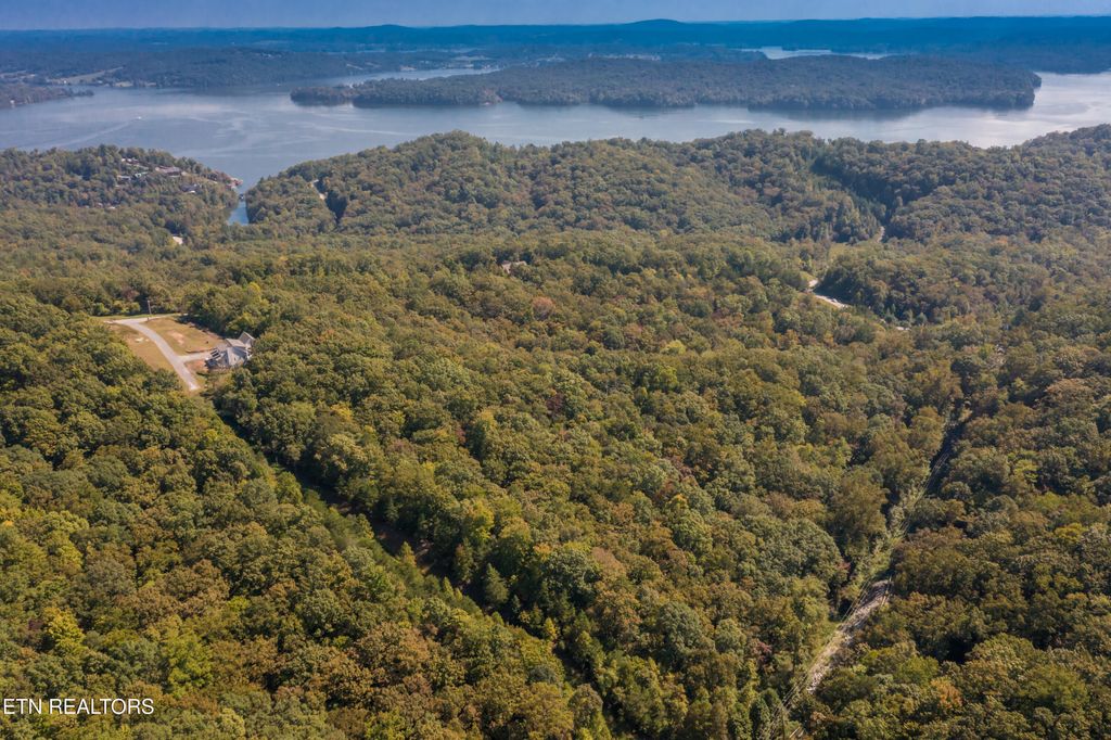 Photo of 0 Winton Chapel Rd, Rockwood, TN 37854 (MLS # 1288532)