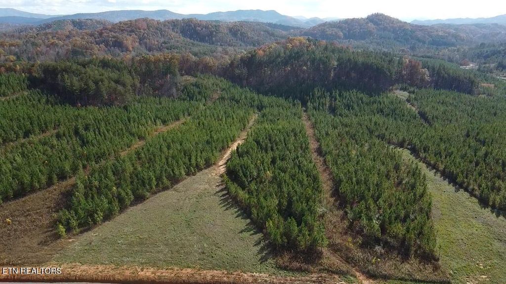 Photo of 51 Three Point Rd, Vonore, TN 37885 (MLS # 1305975)