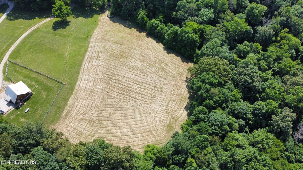 Photo of 735 Mitchell Rd, Blaine, TN 37709 (MLS # 1265065)