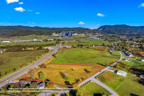 Photo of Cumberland Gap Pkwy, Harrogate, TN 37752 (MLS # 1319968)