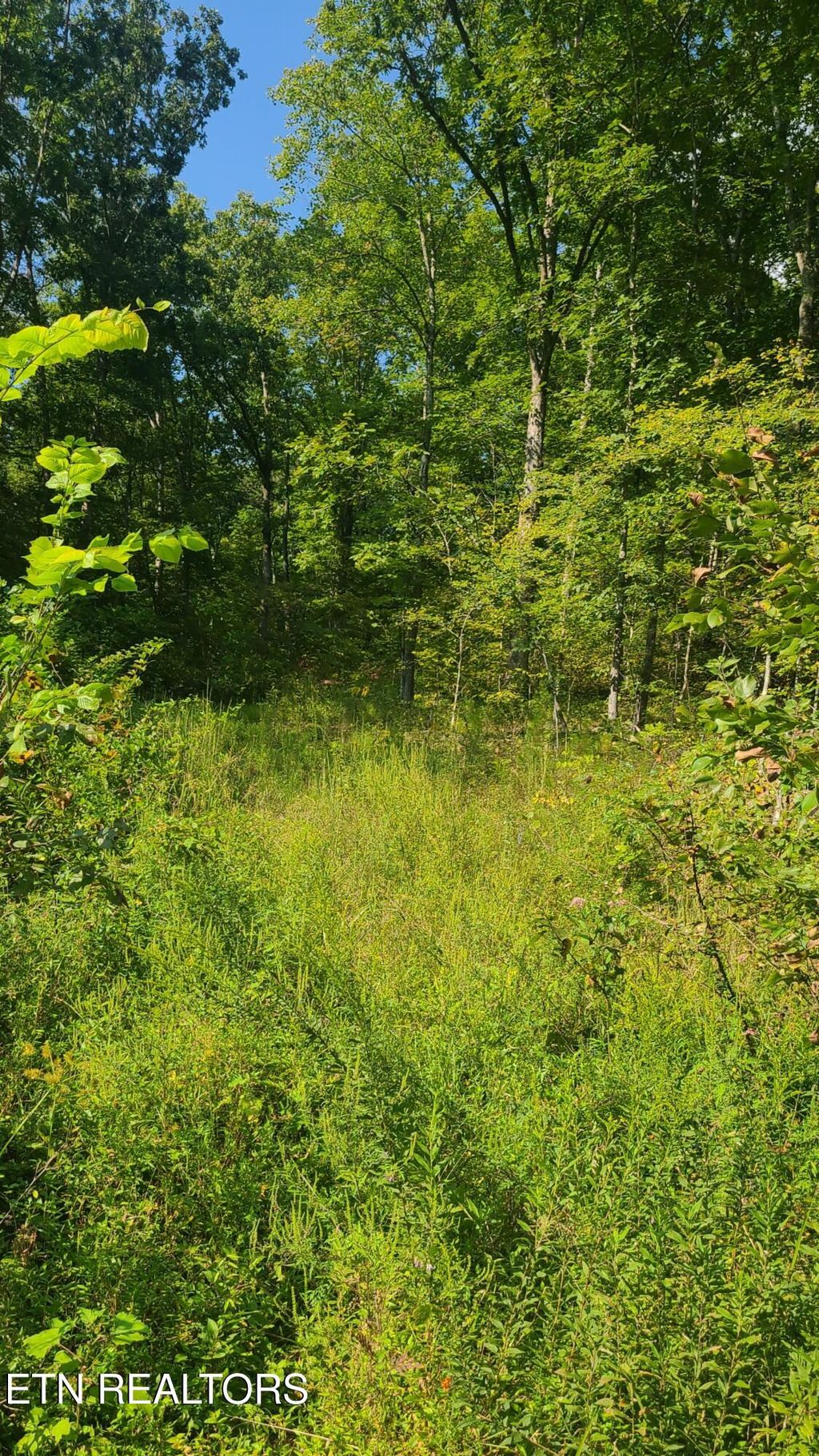Photo of Lot 5 Mel Hall Rd, Maryville, TN 37803 (MLS # 1332723)