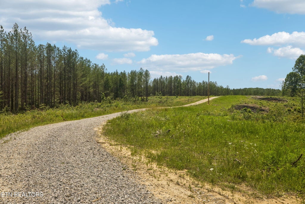 Photo of Nydeck Tr #Tract 2, Robbins, TN 37852 (MLS # 1354347)