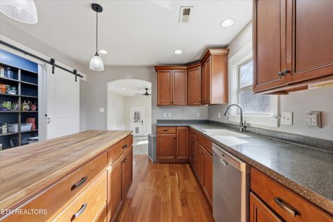 Tiny photo for 397 Lewis Lane, Blaine, TN 37709 (MLS # 1327444)