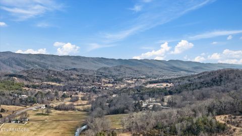 Tiny photo for 397 Lewis Lane, Blaine, TN 37709 (MLS # 1327444)