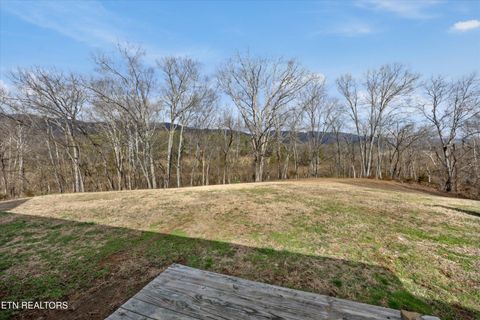 Tiny photo for 397 Lewis Lane, Blaine, TN 37709 (MLS # 1327444)