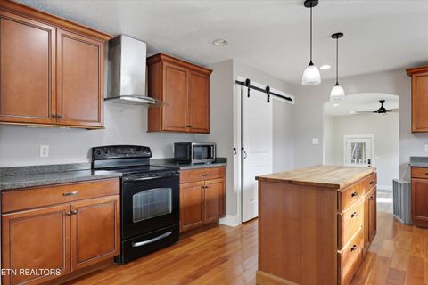 Tiny photo for 397 Lewis Lane, Blaine, TN 37709 (MLS # 1327444)