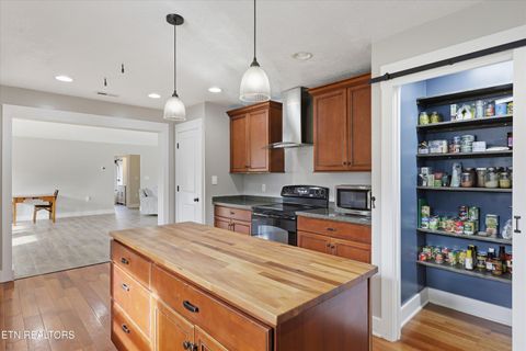 Tiny photo for 397 Lewis Lane, Blaine, TN 37709 (MLS # 1327444)