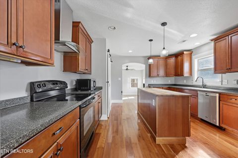 Tiny photo for 397 Lewis Lane, Blaine, TN 37709 (MLS # 1327444)