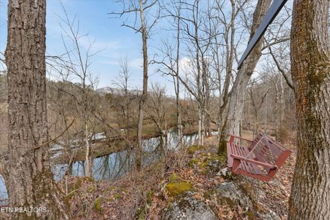 Tiny photo for 397 Lewis Lane, Blaine, TN 37709 (MLS # 1327444)