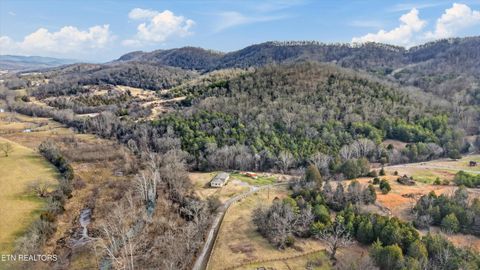 Tiny photo for 397 Lewis Lane, Blaine, TN 37709 (MLS # 1327444)