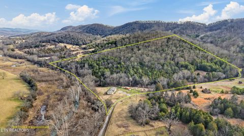 Tiny photo for 397 Lewis Lane, Blaine, TN 37709 (MLS # 1327444)