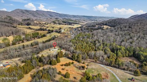 Tiny photo for 397 Lewis Lane, Blaine, TN 37709 (MLS # 1327444)