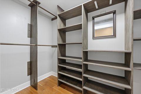 Tiny photo for 397 Lewis Lane, Blaine, TN 37709 (MLS # 1327444)