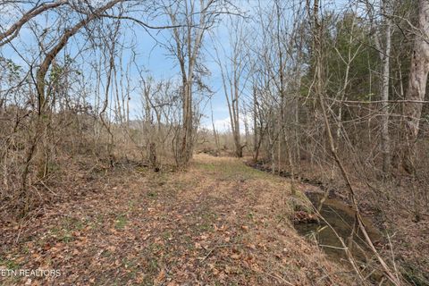 Tiny photo for 397 Lewis Lane, Blaine, TN 37709 (MLS # 1327444)