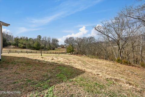 Tiny photo for 397 Lewis Lane, Blaine, TN 37709 (MLS # 1327444)