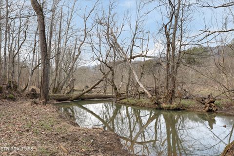 Tiny photo for 397 Lewis Lane, Blaine, TN 37709 (MLS # 1327444)