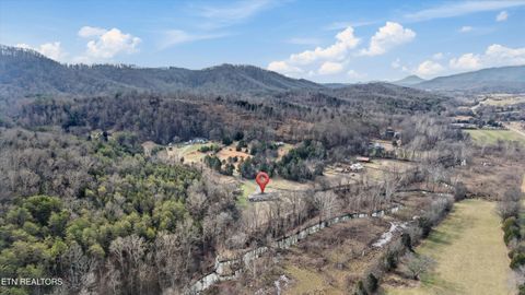 Tiny photo for 397 Lewis Lane, Blaine, TN 37709 (MLS # 1327444)