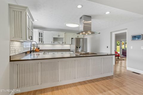 Tiny photo for 1806 Paul Drive, Jefferson City, TN 37760 (MLS # 1317055)
