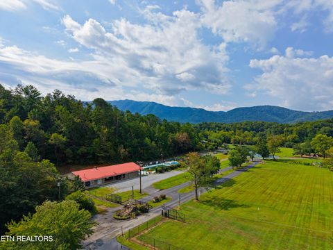 Tiny photo for 758 Big Valley Blvd, Townsend, TN 37882 (MLS # 1314627)