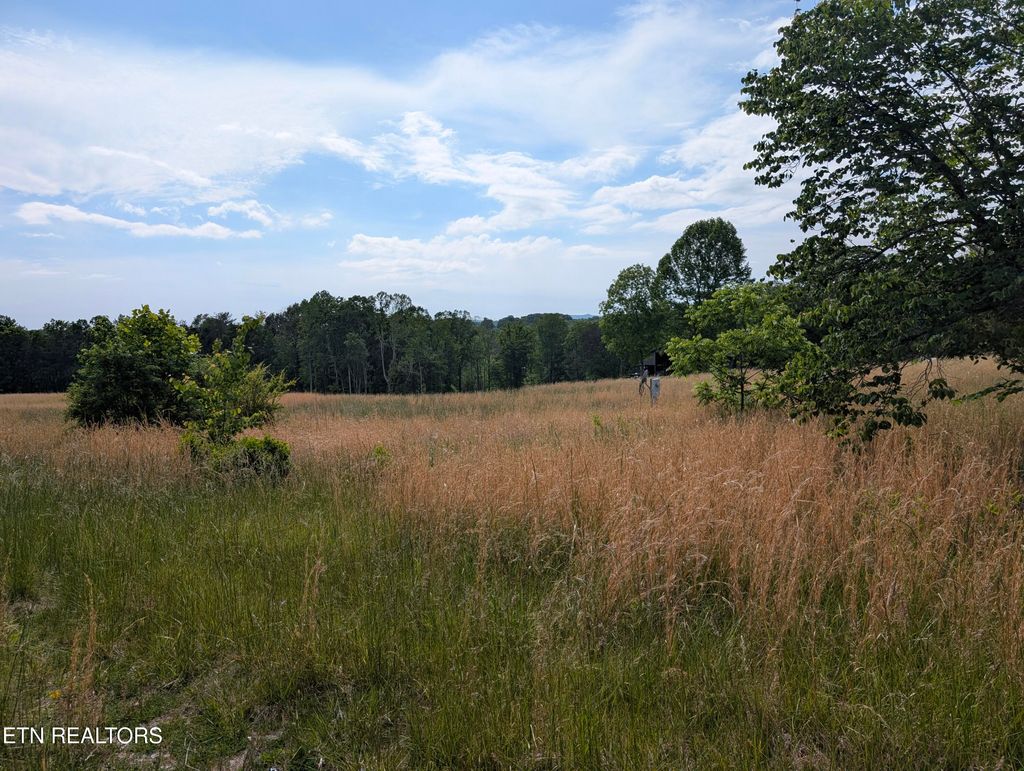 Photo of 1615 Burdette Rd, Grandview, TN 37337 (MLS # 1341190)