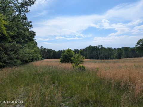 Photo of 1615 Burdette Rd, Grandview, TN 37337 (MLS # 1341190)