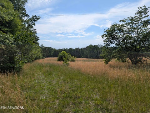Tiny photo for 1615 Burdette Rd, Grandview, TN 37337 (MLS # 1341190)