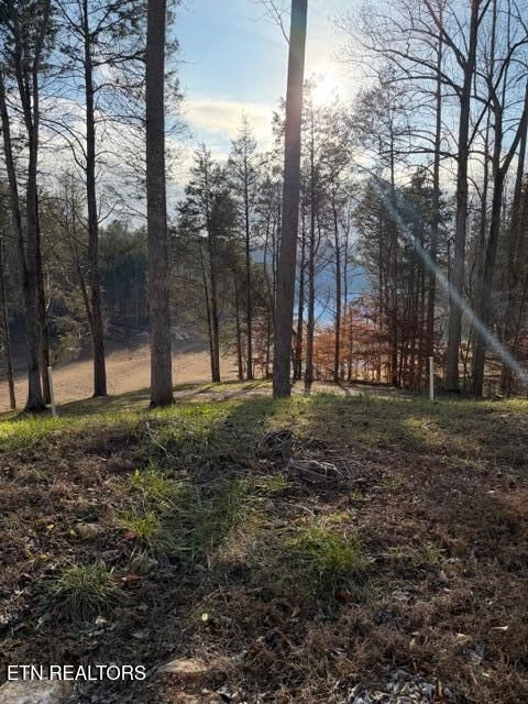 Tiny photo for 485 Highland Trace, Sharps Chapel, TN 37866 (MLS # 1324788)