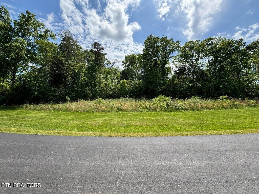 Photo of E Shore Drive, Rockwood, TN 37854 (MLS # 1351618)