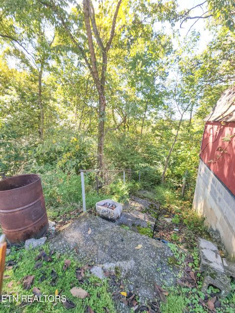 Tiny photo for 1356 Old Hwy 25 E, Tazewell, TN 37879 (MLS # 1317294)