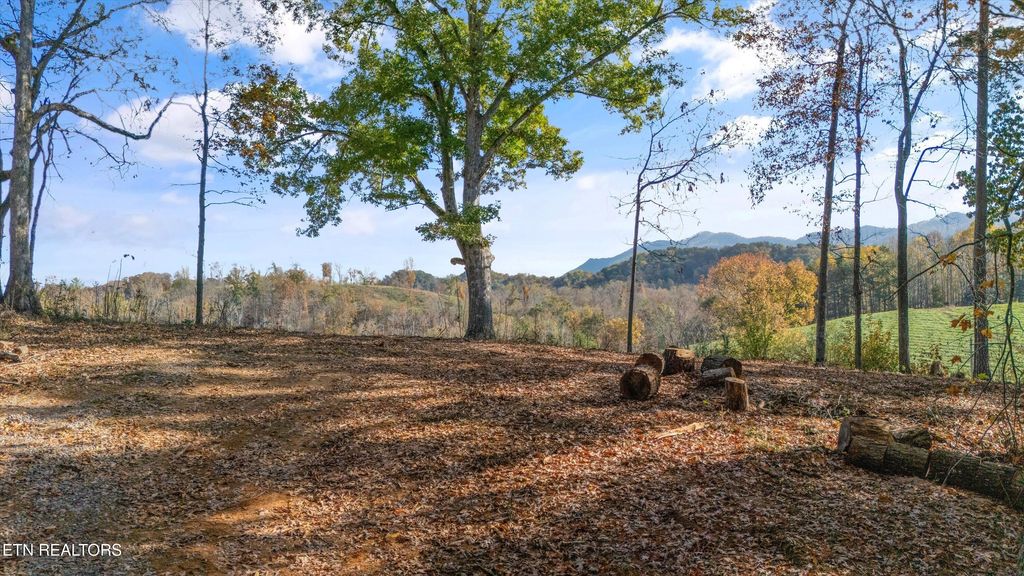 Photo of Old Walland Hwy, Walland, TN 37886 (MLS # 1300646)