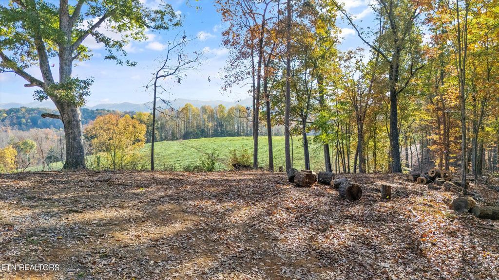 Photo of Old Walland Hwy, Walland, TN 37886 (MLS # 1300646)