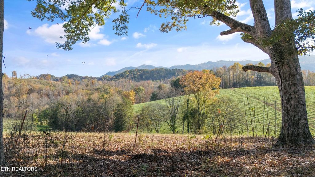 Photo of Old Walland Hwy, Walland, TN 37886 (MLS # 1300646)