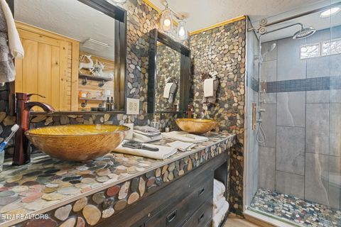 Tiny photo for 7223 E Lamar Alex Pkwy, Townsend, TN 37882 (MLS # 1333428)