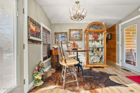 Tiny photo for 7223 E Lamar Alex Pkwy, Townsend, TN 37882 (MLS # 1333428)