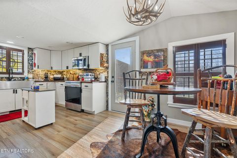 Tiny photo for 7223 E Lamar Alex Pkwy, Townsend, TN 37882 (MLS # 1333428)