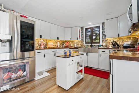 Tiny photo for 7223 E Lamar Alex Pkwy, Townsend, TN 37882 (MLS # 1333428)