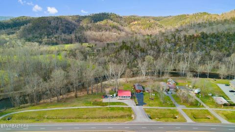 Tiny photo for 7223 E Lamar Alex Pkwy, Townsend, TN 37882 (MLS # 1333428)