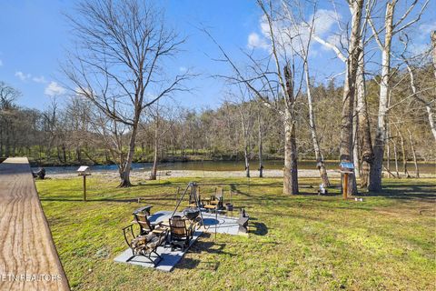 Tiny photo for 7223 E Lamar Alex Pkwy, Townsend, TN 37882 (MLS # 1333428)