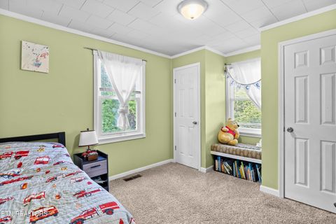 Tiny photo for 2312 Airbase Rd, Louisville, TN 37777 (MLS # 1338142)