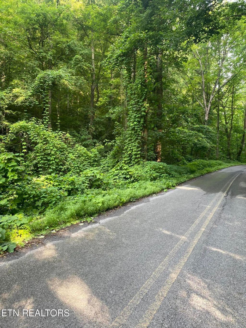 Photo of Lower Reinhart Rd, Dandridge, TN 37725 (MLS # 1304102)