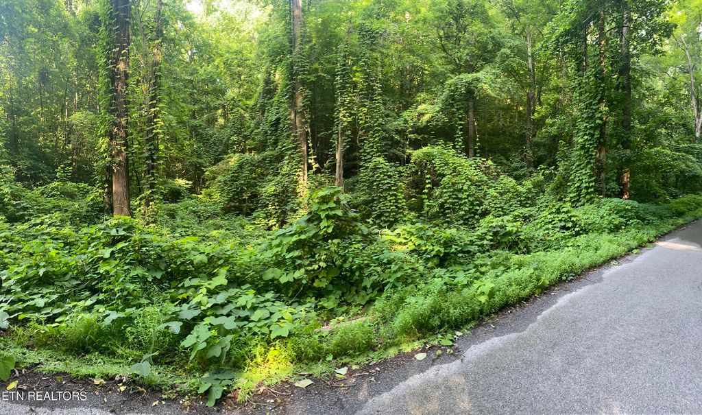 Photo of Lower Reinhart Rd, Dandridge, TN 37725 (MLS # 1304102)