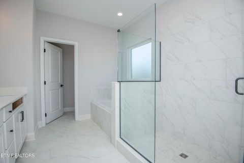 Tiny photo for 438 Ivey Farms Road (Lot 131), Farragut, TN 37934 (MLS # 1325108)