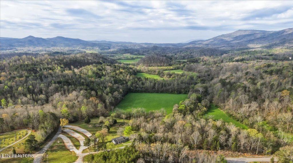 Photo of 1805 Mecca Pike, Tellico Plains, TN 37385 (MLS # 1338365)