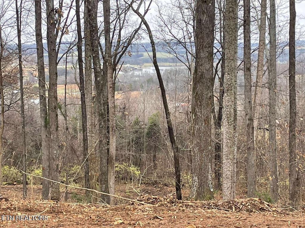 Photo of 00 Lot 10 Poplar Drive, Sweetwater, TN 37874 (MLS # 1327480)