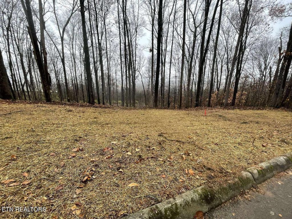 Photo of 00 Lot 10 Poplar Drive, Sweetwater, TN 37874 (MLS # 1327480)